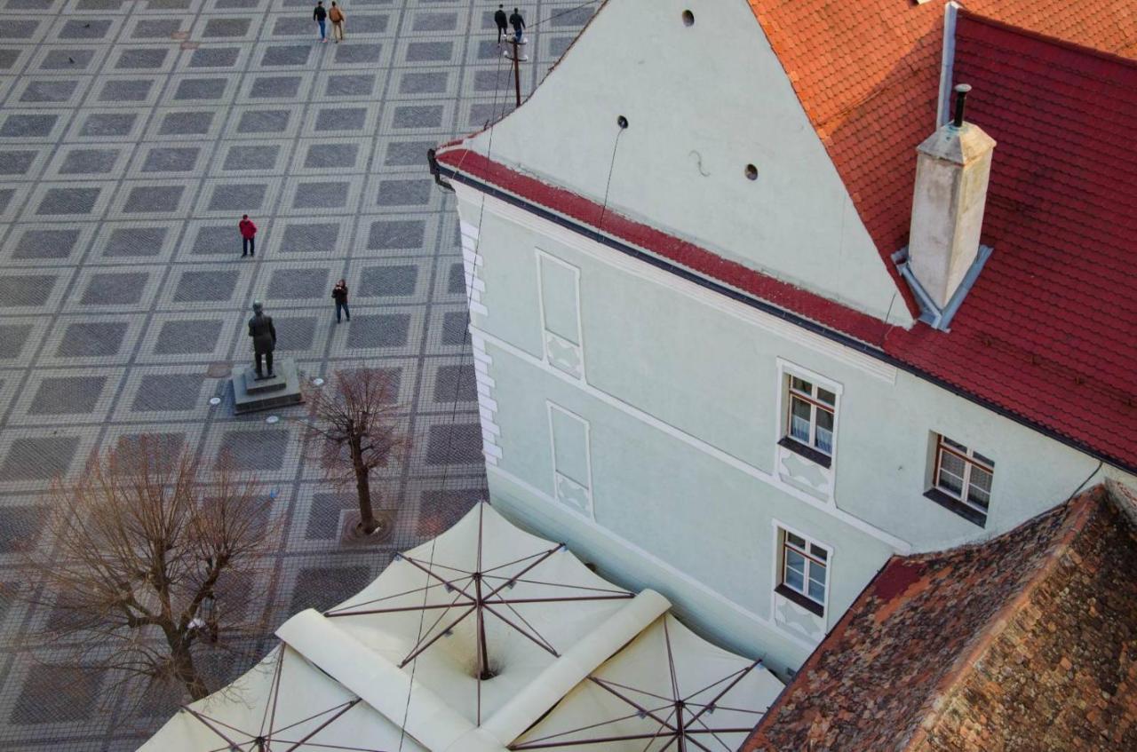 Studio Bufnita - The Owl'S Nest Sibiu Exterior photo